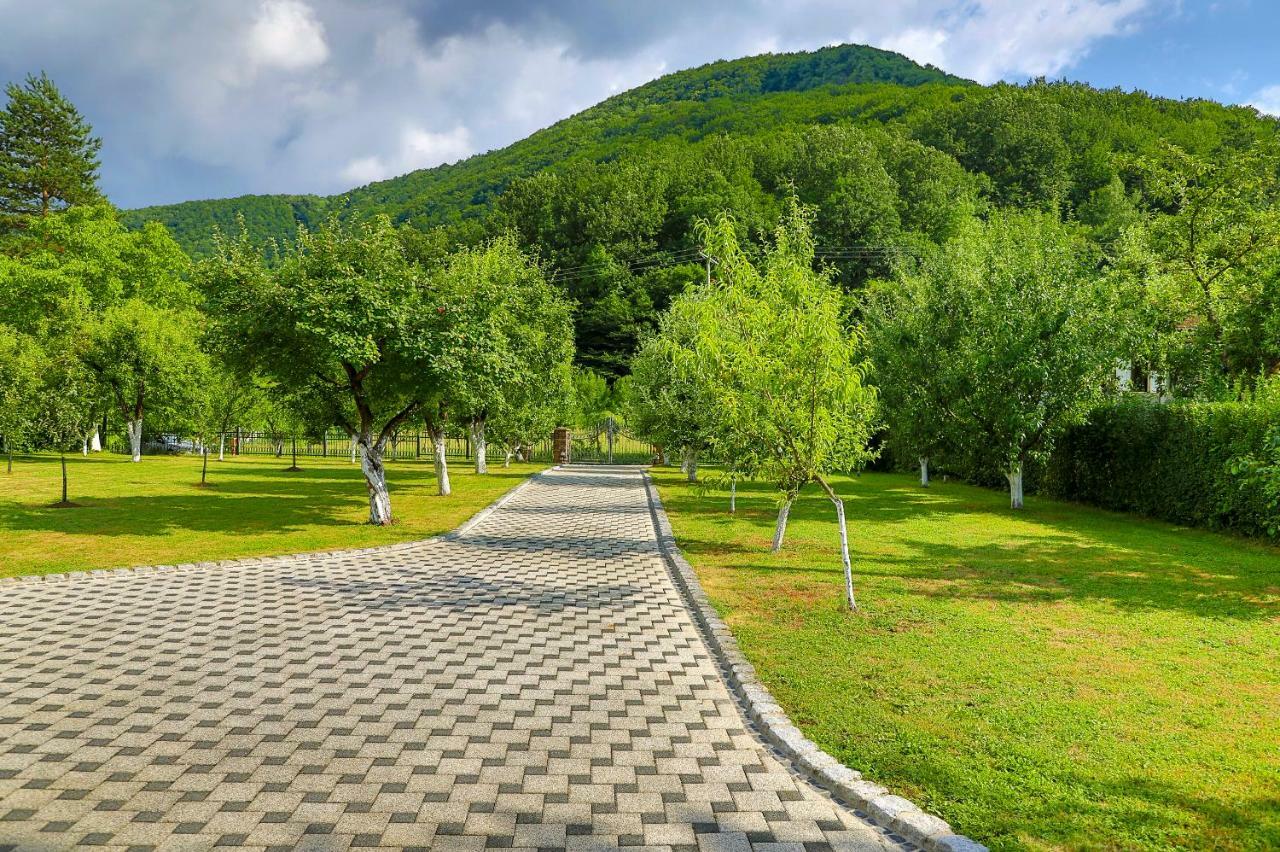 Holiday Home Villa Sara Bihac Bagian luar foto