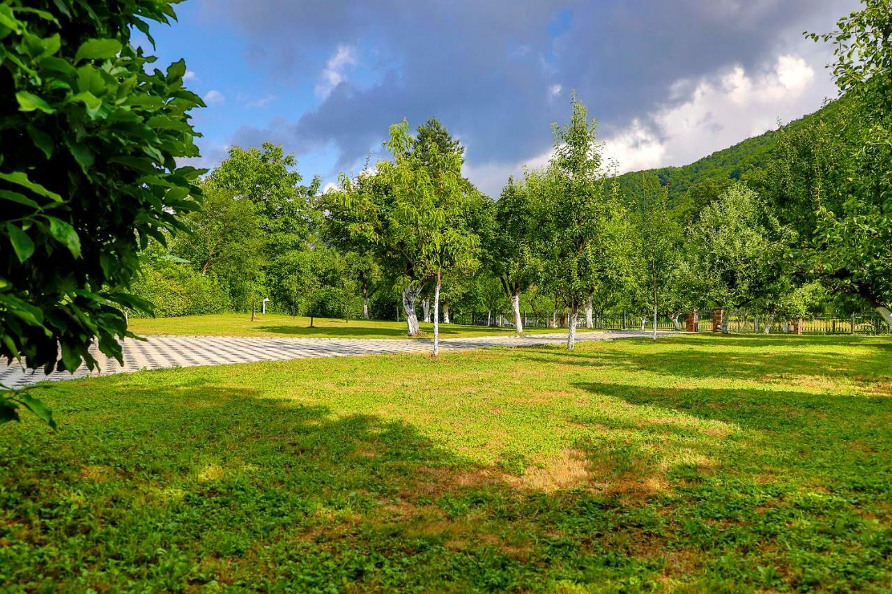 Holiday Home Villa Sara Bihac Bagian luar foto